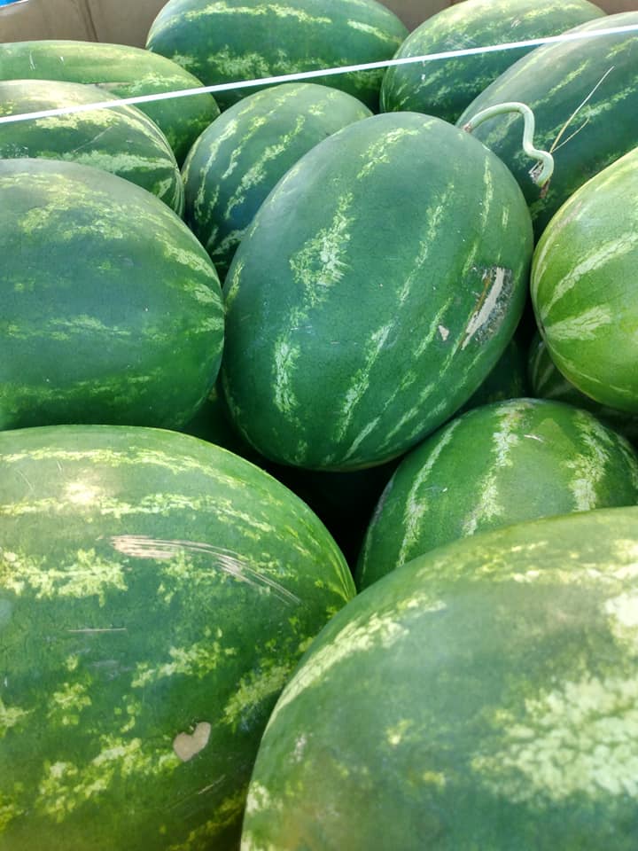 Watermelons 2